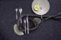 Besteckserie "MiCo Mixed Colors" satin