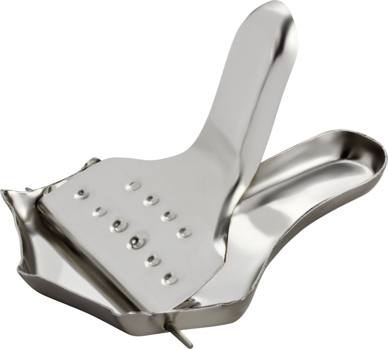 Zitronenschnitzelpresse (1)