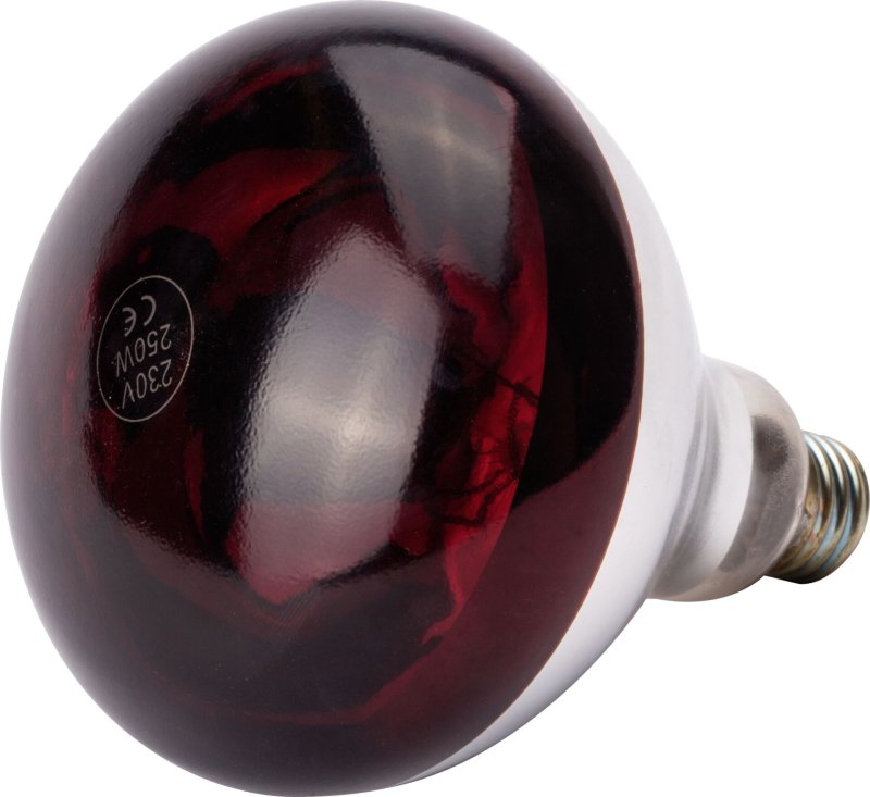 Infrarotlampe Rot (1)