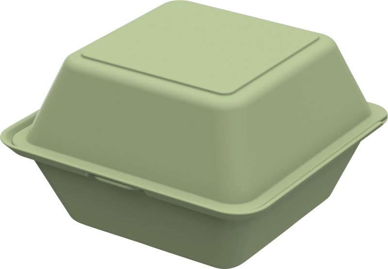 Box "ToGo" Burgerbox "ToGo" (1)