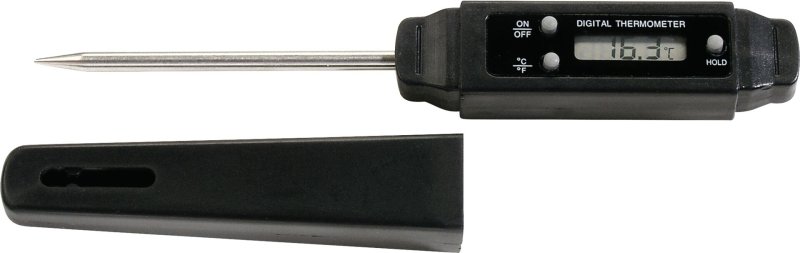 Digitales Einstech-Thermometer (1)