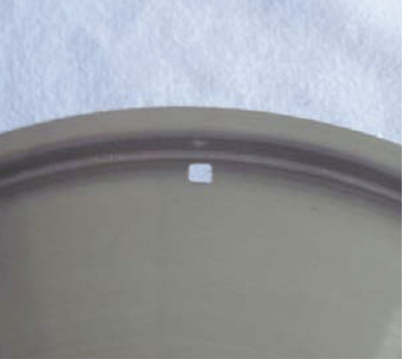 Deckel "Cookmax Professional/Gourmet" 16cm (2)